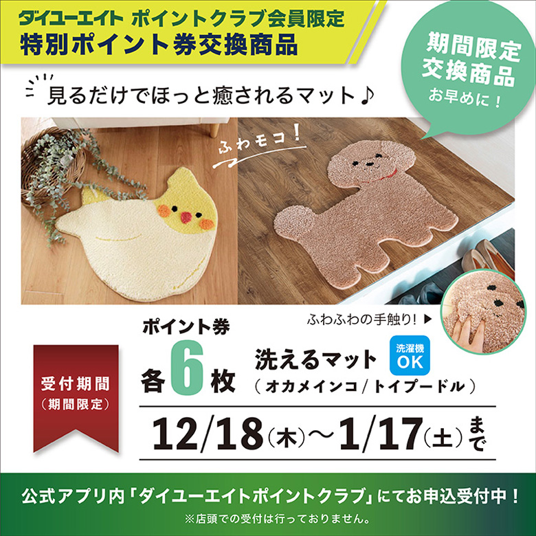 会員獲得促進WEB限定商品12/18-1/17