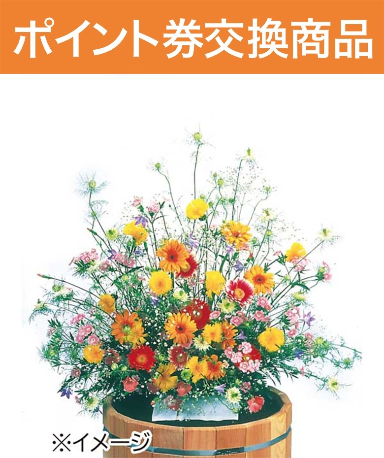 【WEB限定商品】フラワリーランド