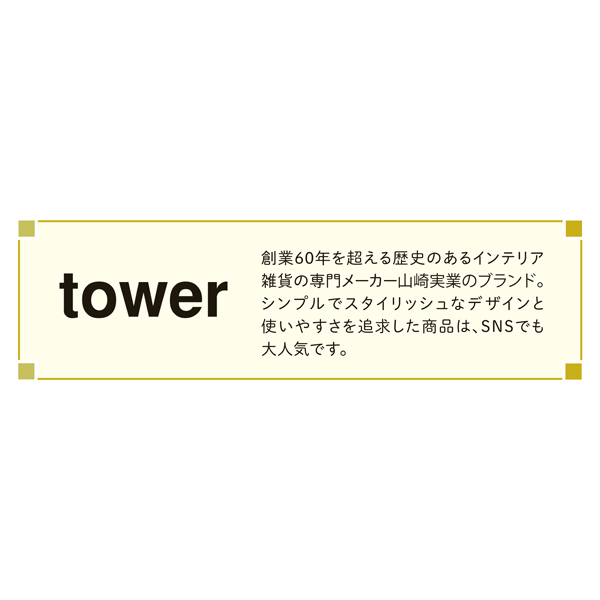 tower 隠せる調味料ラック2段 ブラック