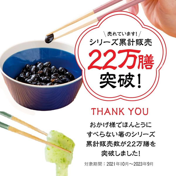 ほんとうにすべらないお箸　大人用　グレージュブルー